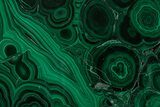 Flowery Polished Malachite Slab - DR Congo #350830-1